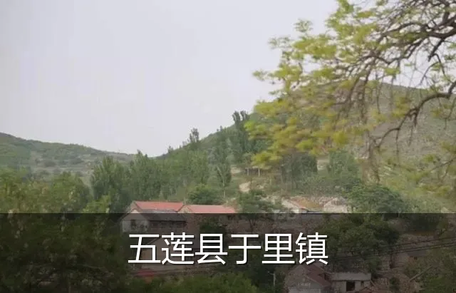 五莲县于里镇